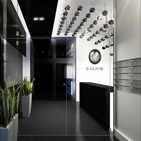 アパート Black Tower In Centrum シュチェチン